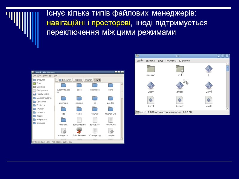 Існує кілька типів файлових менеджерів:  навігаційні і просторові, іноді підтримується переключення між цими